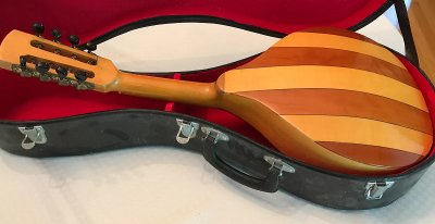 A Tannhauser mandolin, showing the domed back.  Click for bigger photo.